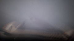 A screenshot taken in Dreams. 2 of 5.