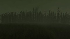 The capsule In the woods