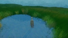 Grassy landscape