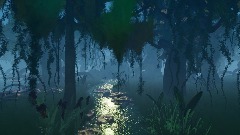 Swamp