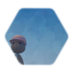 Mm sackboy