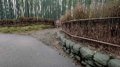 A screenshot taken in Dreams. 18 of 25.