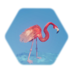 Flamingo