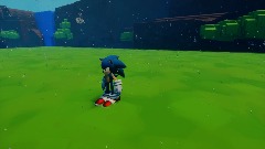 Sonic free roam 3