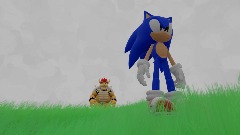 Sonic Adventure: Mario Mix
