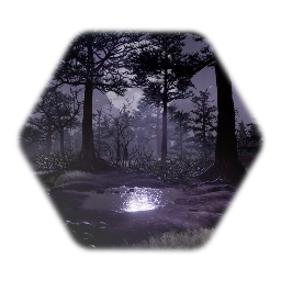 Night Forest Test