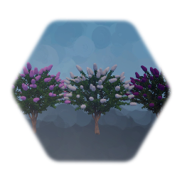 Dwarf Crepe Myrtle  Flower Tree