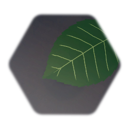 Leaf (Dahlia, coloured & veined) - 3/26/2020