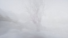 A screenshot taken in Dreams. 4 of 11.