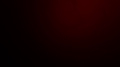 Stan Smith Is Lost In The Forest (Update)