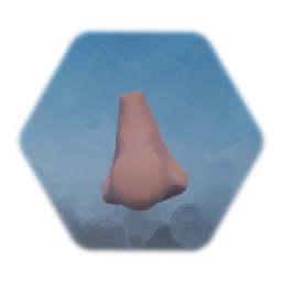 Nose