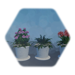Potted Ferns and Flowers