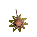 Blounem_