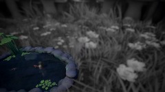 The pond