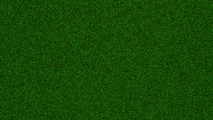 Special  announcement!