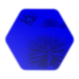 Urchin collection