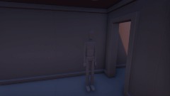 Occular Occlusion Experiment