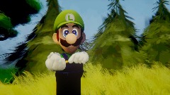 Its a stone Luigi