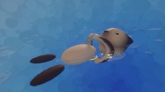 DHM 30 Minute Challenge : OTTER REFLECTION