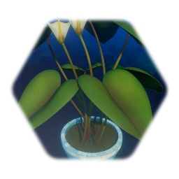 [Flora | Plant Life]