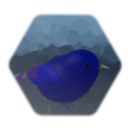 Donnie The Bird?!?!?