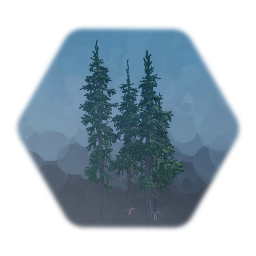 Spruce