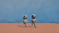 My Puppets