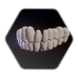 Realistic Human Teeth