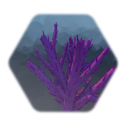 Coral 15
