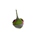 innoShade