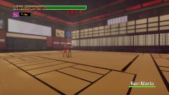Kung-fu Master:Mr Shotokun vs Ben Mario