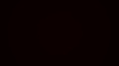 Guarded heart visual