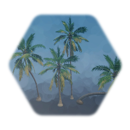 Coconut Palm V4 Florida