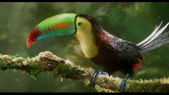 A screenshot taken in Dreams. 8 of 13.