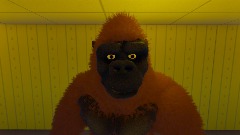 Kong in the backrooms