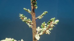 A screenshot taken in Dreams. 1 of 4.