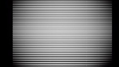 W h a                 t 3