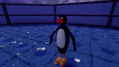 Meeting Pingu