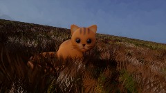 KITTY!!!!!!!!!!!!!!!!!!!!!!!!!!!!!!!!!!