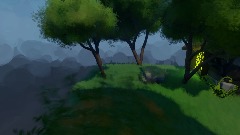 Forest  dream