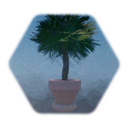 Plante avec pot