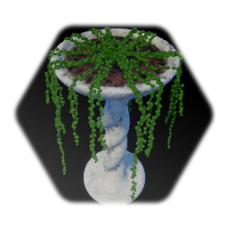 String of Pearls in Planter