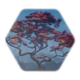 Japanese Maple Fall Colors