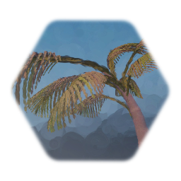 Palm Tree - 19/4/2019