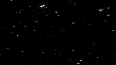 Tardigrade in Space! Teaser Trailer