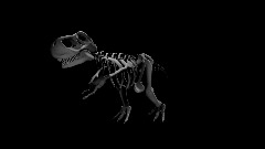 Prehistoric Dinosaur Skeleton