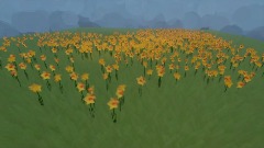 Field of Daffodils