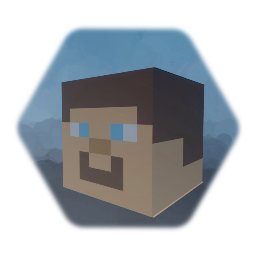 Steve's Head Texture