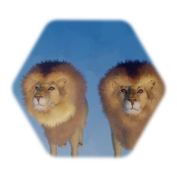 Lions