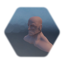 Male bust - 28/2/2020